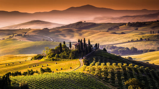 View of a winding road lined with cypress trees through the rolling hills of Tuscany at sunset