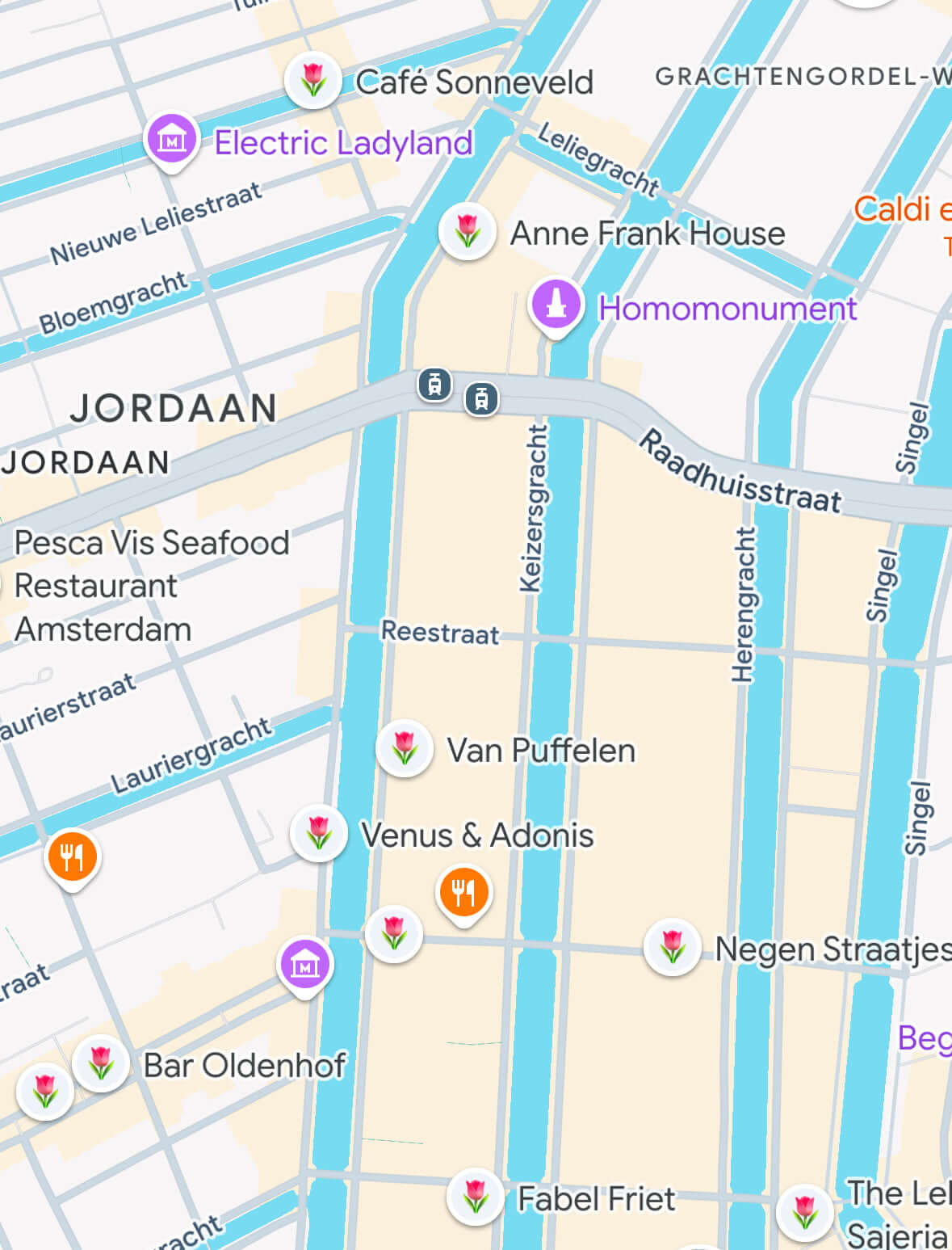 Custom Google Maps digital guide for Amsterdam, highlighting top restaurants, attractions, and must-visit locations for seamless trip planning.