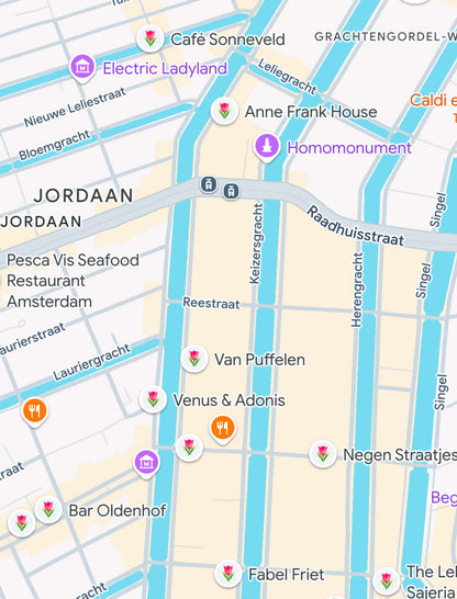 Custom Google Maps digital guide for Amsterdam, highlighting top restaurants, attractions, and must-visit locations for seamless trip planning.