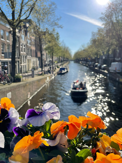 Scenic Amsterdam canal with colorful flowers in the foreground and a boat passing by. A picturesque view of the city's waterways.